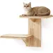 Pawffee Étagères Murales pour Chat, 2 Plateformes,