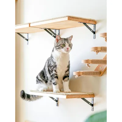 Pawffee Étagère Murale Flottante avec Tapis Griffoir pour Chat