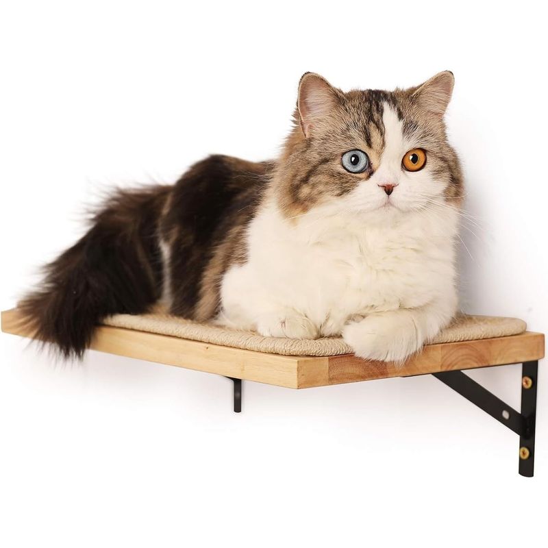 Pawffee Étagère Murale Flottante avec Tapis Griffoir pour Chat