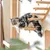 Pawffee Étagère Murale Flottante avec Tapis Griffoir pour Chat