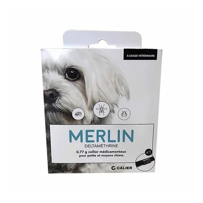 DECHRA - MERLIN 0,77 G COLLIER PETIT MOYEN CHIEN - DECHRA DECHRA - MERLIN 0,77 G COLLIER PETIT MOYEN CHIEN - DECHRA