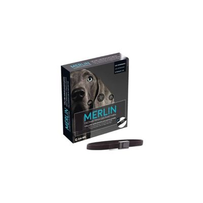 DECHRA - MERLIN 1,04 G COLLIER GRAND CHIEN - DECHRA