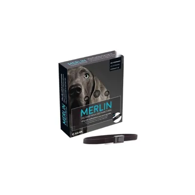 DECHRA - MERLIN 1,04 G COLLIER GRAND CHIEN - DECHRA DECHRA - MERLIN 1,04 G COLLIER GRAND CHIEN - DECHRA