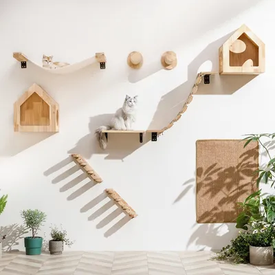 Pawffee Étagère Murale pour Chat, Pont, Perche, Arbre à Chat, Pawffee Étagère Murale pour Chat, Pont, Perche, Arbre à Chat,