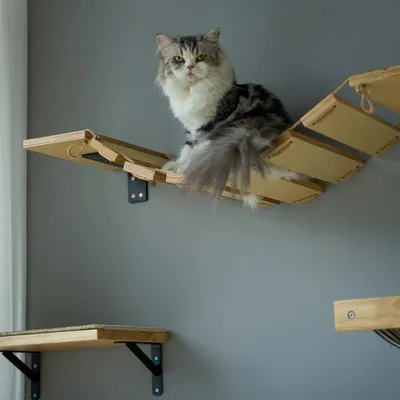 Pawffee Étagère Murale pour Chat, Pont, Perche, Arbre à Chat, Pawffee Étagère Murale pour Chat, Pont, Perche, Arbre à Chat,