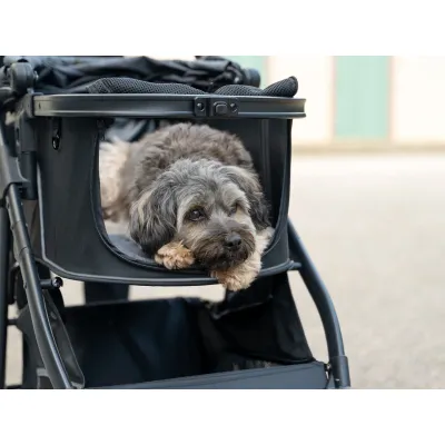 TrendPet Walk Poussette pour chien TrendPet Walk Poussette pour chien