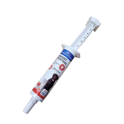 Pâte Confort Intestinal pour chien et chat - Seringue de 30 ml - Francodex Pâte Confort Intestinal pour chien et chat - Seringue de 30 ml - Francodex