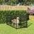 vidaXL chenil pour chien