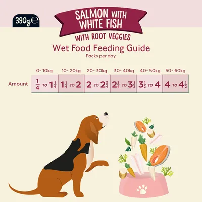 Nourriture humide sans céréales Naturediet Feel Good Saumon 390g Nourriture humide sans céréales Naturediet Feel Good Saumon 390g