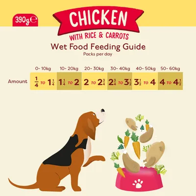 Nourriture humide pour chiens Naturediet Feel Good Poulet 390g Nourriture humide pour chiens Naturediet Feel Good Poulet 390g