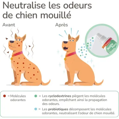 BEAPHAR - Spray Chien Mouillé - Anti-Odeur Beaphar