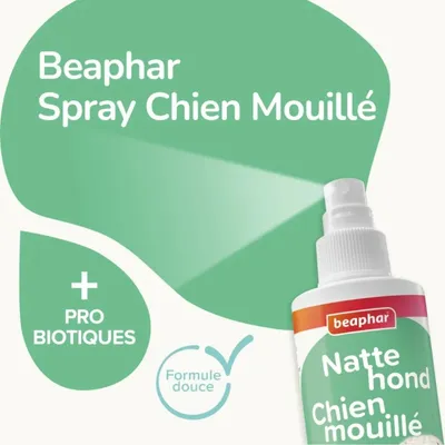 BEAPHAR - Spray Chien Mouillé - Anti-Odeur Beaphar