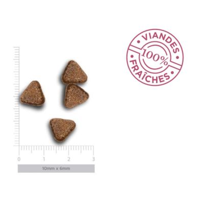 AMANOVA - Amanova Getreidefreies Hundefutter mit sensiblem Lammfleisch
