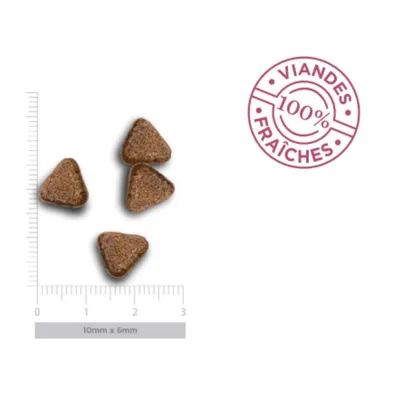 Amanova -   Chien Sans Céréales Agneau Sensible Amanova