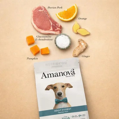 AMANOVA - Chien Exigeant Porc Ibérique Sans Céréales AMANOVA - Chien Exigeant Porc Ibérique Sans Céréales