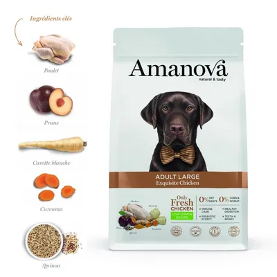 AMANOVA -   Chien Grande Race Poulet Amanova