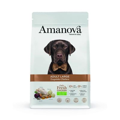 Amanova -   Chien Grande Race Poulet Amanova