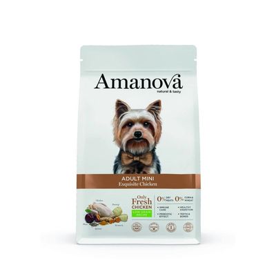 Amanova -   chien petite race poulet Amanova
