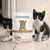 AMANOVA - Pâtée chaton sans céréales poulet Amanova 85g