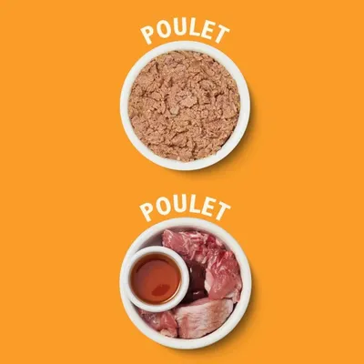 LILY'S KITCHEN - Pâtée Chat Sans Céréales Multipack 8x85g -