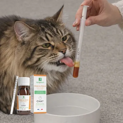 VetyVert - Complément alimentaire vétérinaire - Peau & Poils chat 50 mL