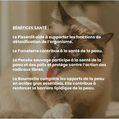 VetyVert - Complément alimentaire vétérinaire - Peau & Poils chat 50 mL