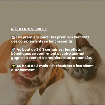 VetyVert - Complément alimentaire vétérinaire - Peau & Poils chat 50 mL