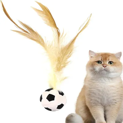 MCBOSON Balle de football pour chat, jouet rebondissant