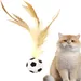 Balle de football pour chat, jouet rebondissant