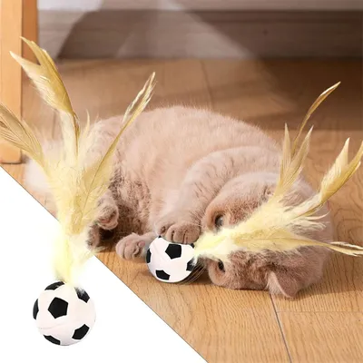 Balle de football pour chat, jouet rebondissant