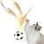 Balle de football pour chat, jouet rebondissant