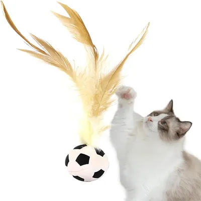 Balle de football pour chat, jouet rebondissant
