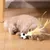 Balle de football pour chat, jouet rebondissant