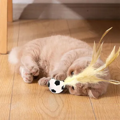 Balle de football pour chat, jouet rebondissant