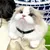 MCBOSON Collier de chat et de chien thème Coupe du Monde MCBOSON Collier de chat et de chien thème Coupe du Monde