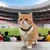 MCBOSON Collier de chat et de chien thème Coupe du Monde MCBOSON Collier de chat et de chien thème Coupe du Monde