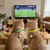 MCBOSON Collier de chat et de chien thème Coupe du Monde MCBOSON Collier de chat et de chien thème Coupe du Monde