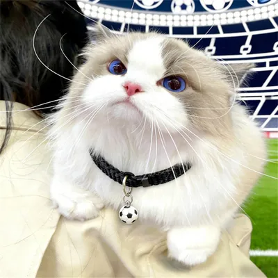 MCBOSON Collier de chat et de chien thème Coupe du Monde MCBOSON Collier de chat et de chien thème Coupe du Monde
