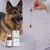VetyVert - Complément alimentaire vétérinaire - Calme chien 150 mL