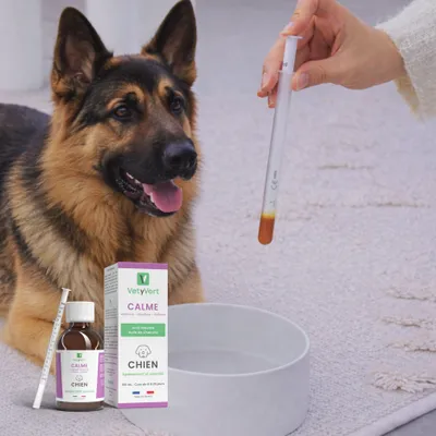 VetyVert - Complément alimentaire vétérinaire - Calme chien 150 mL