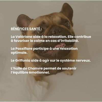 VetyVert – Veterinär-Nahrungsergänzungsmittel – Ruhe Hund 150 mL