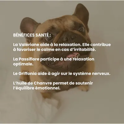 VetyVert - Complément alimentaire vétérinaire - Calme chien 150 mL