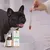 VetyVert - Complément alimentaire vétérinaire - Peau & Poils chien 150 mL