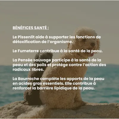VetyVert - Complément alimentaire vétérinaire - Peau & Poils chien 150 mL