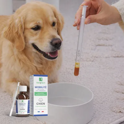 VetyVert - Complément alimentaire vétérinaire - Mobilité chien 150 mL