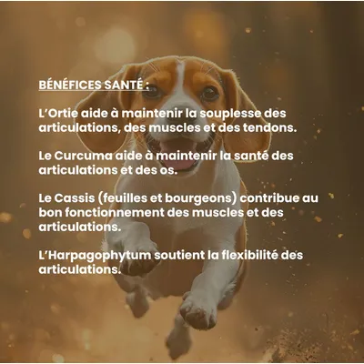 VetyVert - Complément alimentaire vétérinaire - Mobilité chien 150 mL