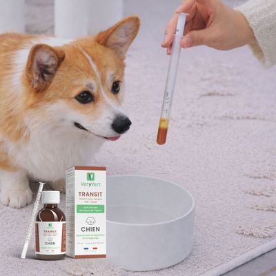 VetyVert - Complément alimentaire vétérinaire - Transit chien 150 mL