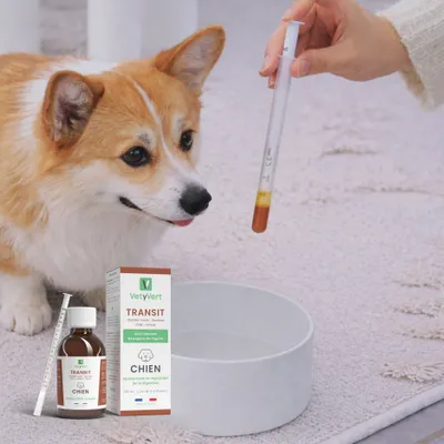 VetyVert - Complément alimentaire vétérinaire - Transit chien 150 mL