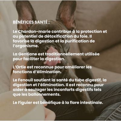 VetyVert – Veterinär-Nahrungsergänzungsmittel – Darmtransit Hund 150 mL