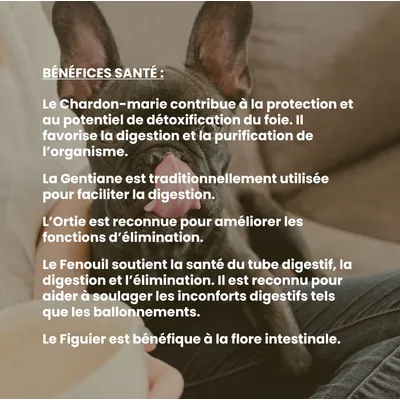 VetyVert - Complément alimentaire vétérinaire - Transit chien 150 mL